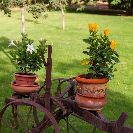 Capracotta - Alba Séjour à la ferme