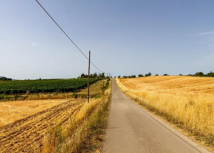 Capracotta - Alba Montemassi